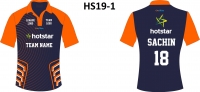 HS19-1
