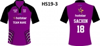 HS19-3